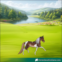 Horse Color:Liver Chestnut Tobiano Rabicano 