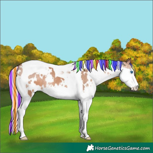 Horse Color:Painted White Spotted Silver Brown Dun Splash Tobiano 