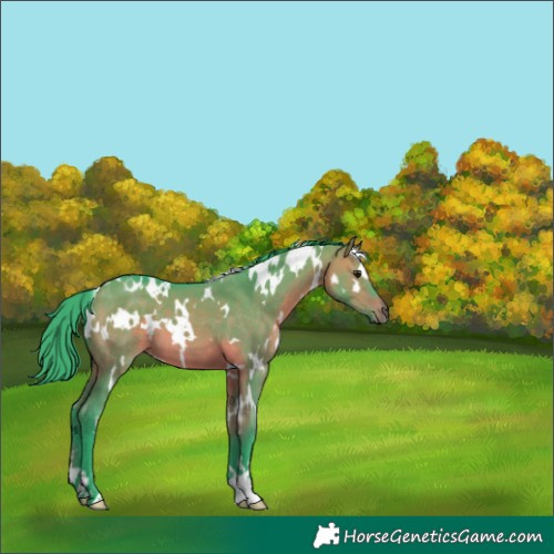 Horse Color:Watercolor White Spotted Brown Dun 