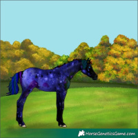 Horse Color:ERROR: UNKNOWN ANOMALY