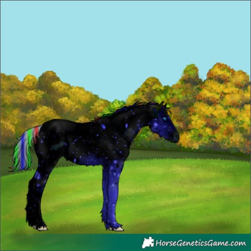 Horse Color:ERROR: UNKNOWN ANOMALY