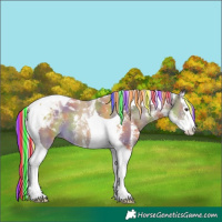 Horse Color:Painted Nacre Chocolate Palomino Sabino Splash Tobiano