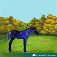 Horse Color:ERROR: UNKNOWN ANOMALY