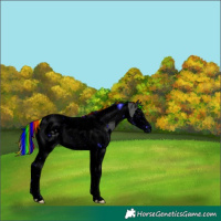 Horse Color:ERROR: UNKNOWN ANOMALY
