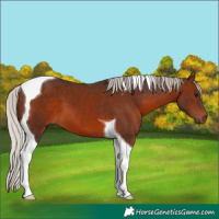 Horse Color:Silver Brown Tobiano 