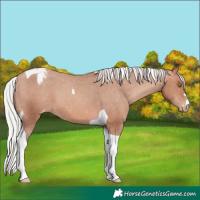 Horse Color:Silver Sable Champagne Tobiano Varnish 