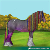Horse Color:Painted Bay Tobiano Varnish Rabicano 