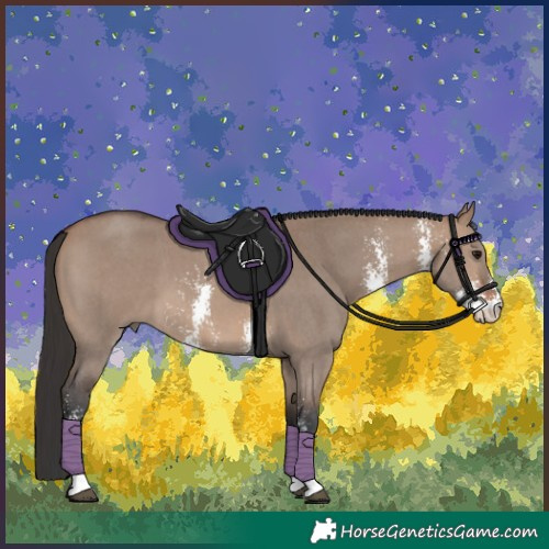 Horse Color:Brown Dun Sabino 