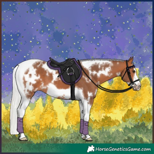 Horse Color:White Spotted Silver Bay Tobiano Frame 