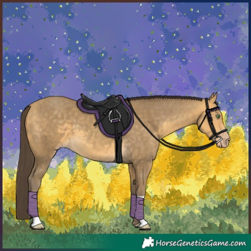 Horse Color:Sable Cream Champagne 