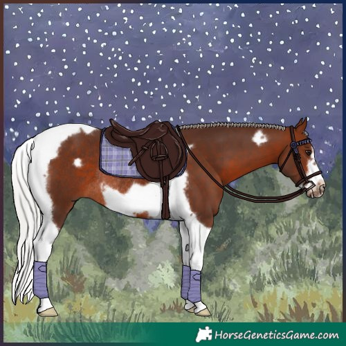 Horse Color:Silver Brown Tobiano Frame Rabicano 