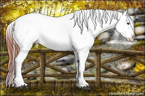Horse Color:Brown Blanket Brindle
