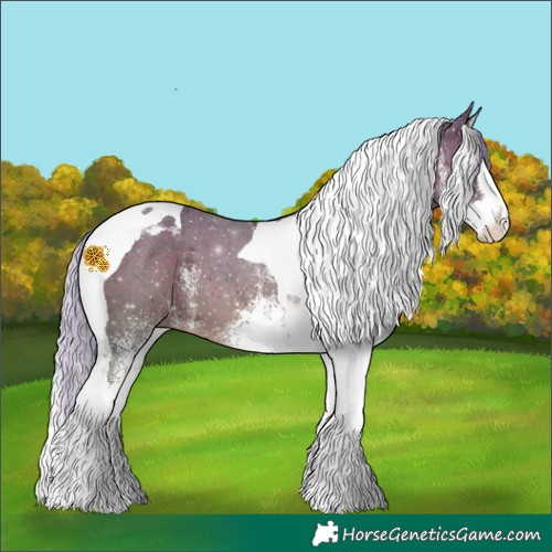 Horse Color:White Spotted Silver Brown Mushroom Splash Tobiano 