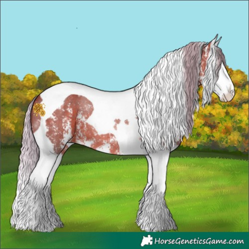 Horse Color:Silver Bay Mushroom Sabino Splash Tobiano 