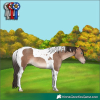Horse Color:Sable Champagne Tobiano 