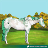 Horse Color:Watercolor White Spotted Brown Chinchilla Onyx 