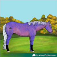Horse Color:Watercolor Silver Brown 