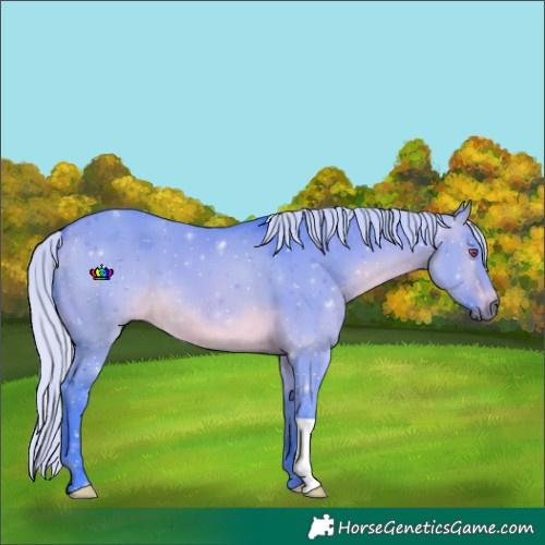 Horse Color:Watercolor Silver Brown Chinchilla Dun 