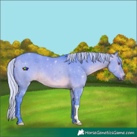 Horse Color:Watercolor Silver Brown Chinchilla Dun