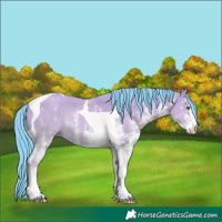 Horse Color:Watercolor White Spotted Classic Champagne Dun Tobiano 