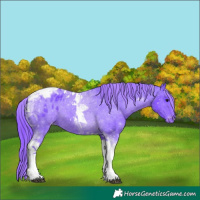 Horse Color:Watercolor Black Tobiano Appaloosa 