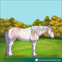 Horse Color:Watercolor Brown Pearl Onyx Sabino Tobiano