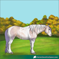Horse Color:Watercolor Brown Pearl Onyx Sabino Tobiano 