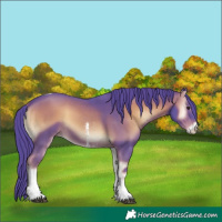 Horse Color:Watercolor Liver Red Onyx Sabino Tobiano 