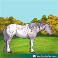Horse Color:Watercolor Chocolate Brown Pearl Dun Tobiano Near Leopard Rabicano 