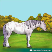 Horse Color:Watercolor Chocolate Brown Pearl Dun Tobiano Appaloosa Rabicano 