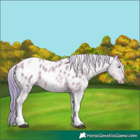 Horse Color:Watercolor Chocolate Brown Pearl Dun Tobiano Appaloosa Rabicano 