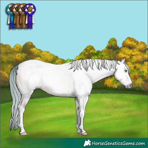Horse Color:Gray Watercolor Amber Champagne Dun Tobiano Varnish Brindle 