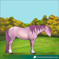 Horse Color:Watercolor Liver Red Dun Pearl Tobiano 