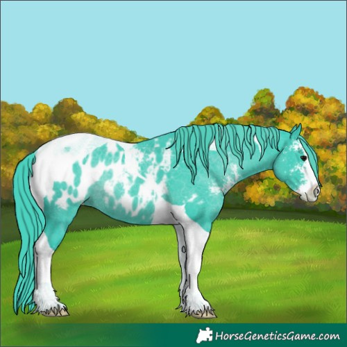 Horse Color:Watercolor Black Sabino Tobiano Appaloosa Rabicano 