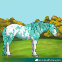 Horse Color:Watercolor Black Sabino Tobiano Appaloosa Rabicano