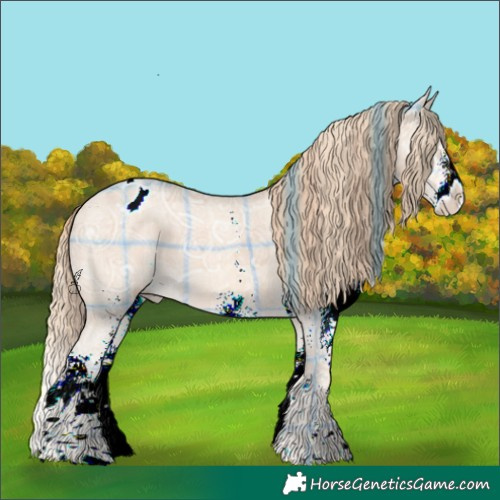 Horse Color:Plaid White Spotted Perlino Ice Appaloosa