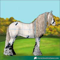 Horse Color:Plaid  White Spotted Perlino Ice Varnish 