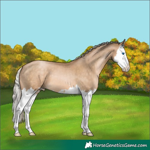 Horse Color:Chocolate Palomino Pearl Splash