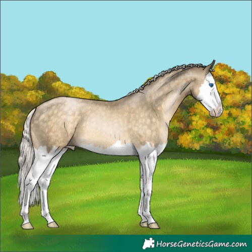 Horse Color:Silver Buckskin Pearl Splash