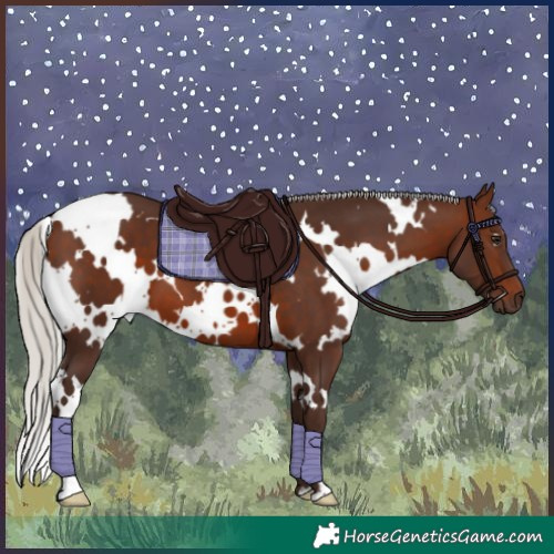 Horse Color:White Spotted Silver Brown 