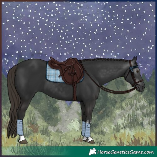 Horse Color:Gray White Spotted Liver Chestnut 