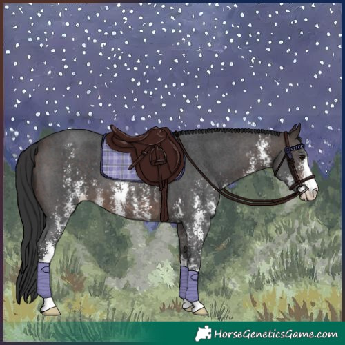 Horse Color:Brown Sabino 