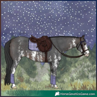 Horse Color:Brown Sabino