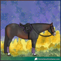 Horse Color:Brown Sabino