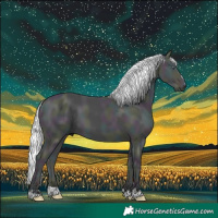 Horse Color:Midnight Chocolate Silver Perlino Chinchilla