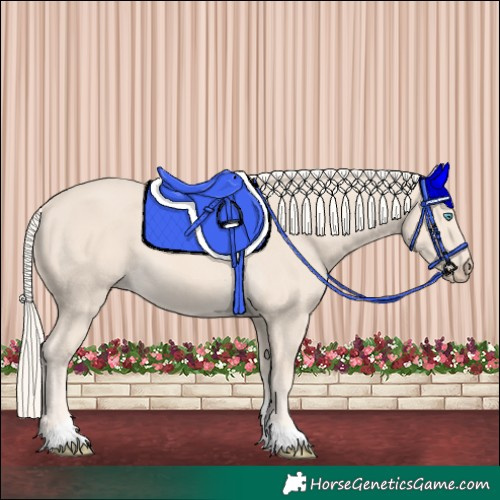 Horse Color:Cremello Tobiano 
