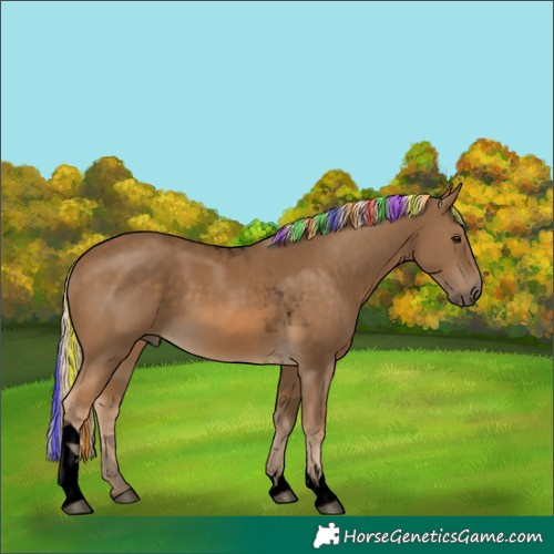 Horse Color:Void Painted Chocolate Palomino Tobiano