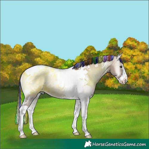 Horse Color:Painted Liver Red Dun Onyx Splash Tobiano