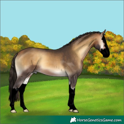 Horse Color:Void Buckskin Onyx Splash