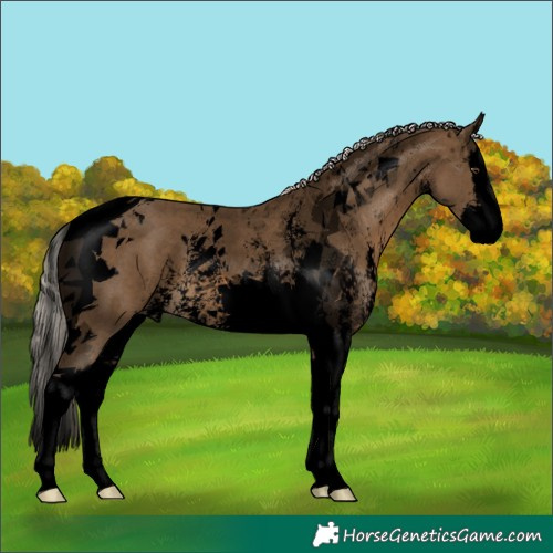 Horse Color:Void Chocolate Palomino Sabino Splash Tobiano